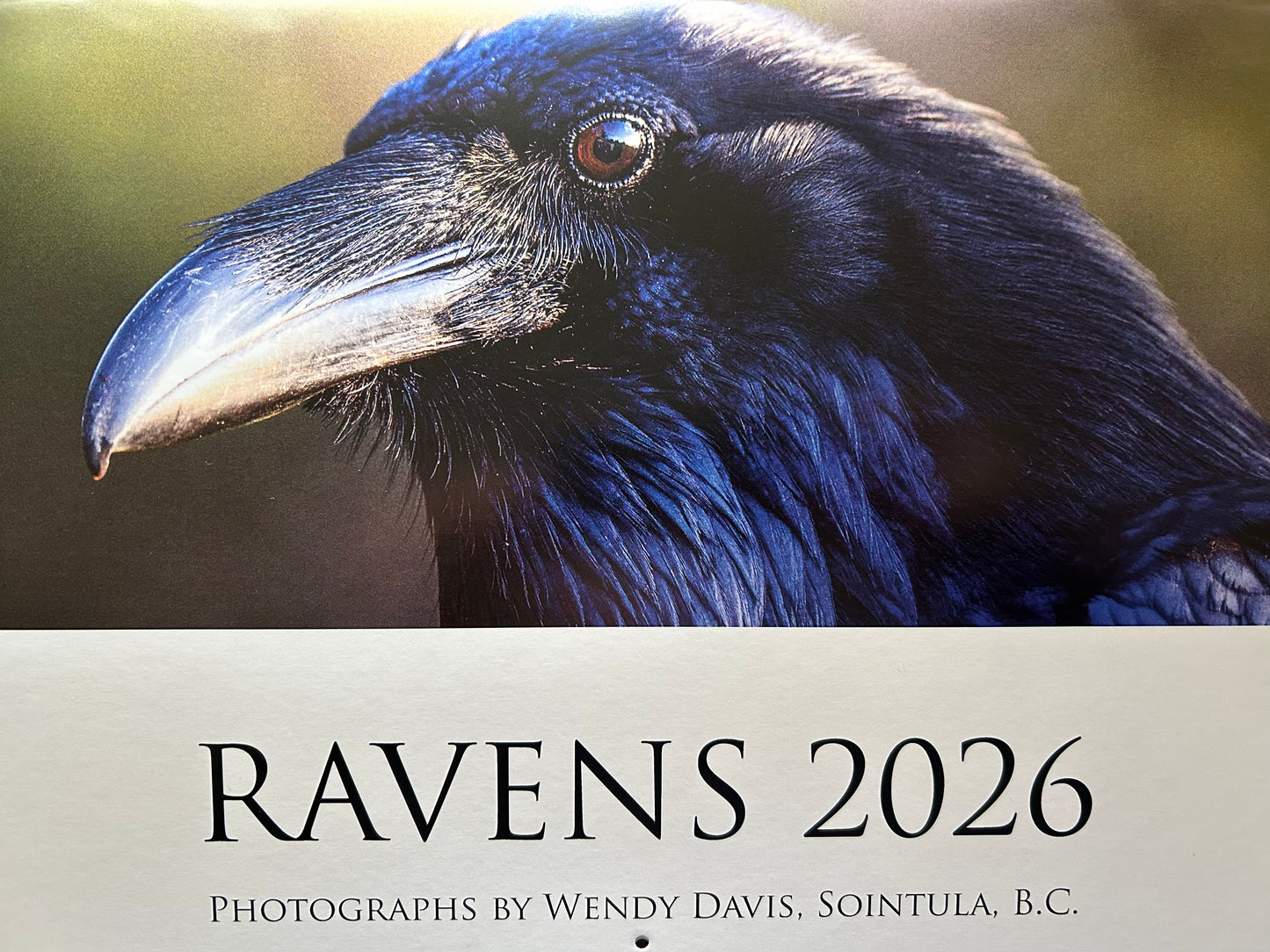 2026 Raven Calendar