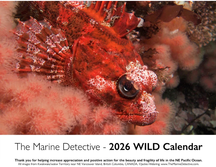 2026 Wild Calendar