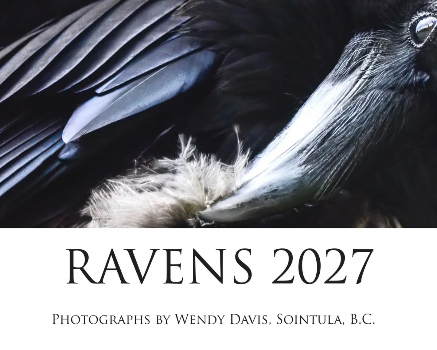 2027 Raven Calendar