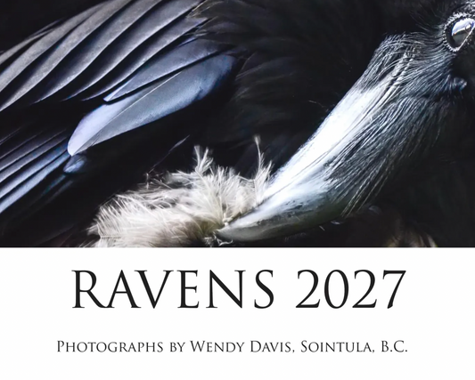 2027 Raven Calendar