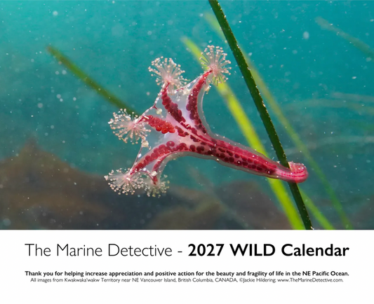 2027 Wild Calendar