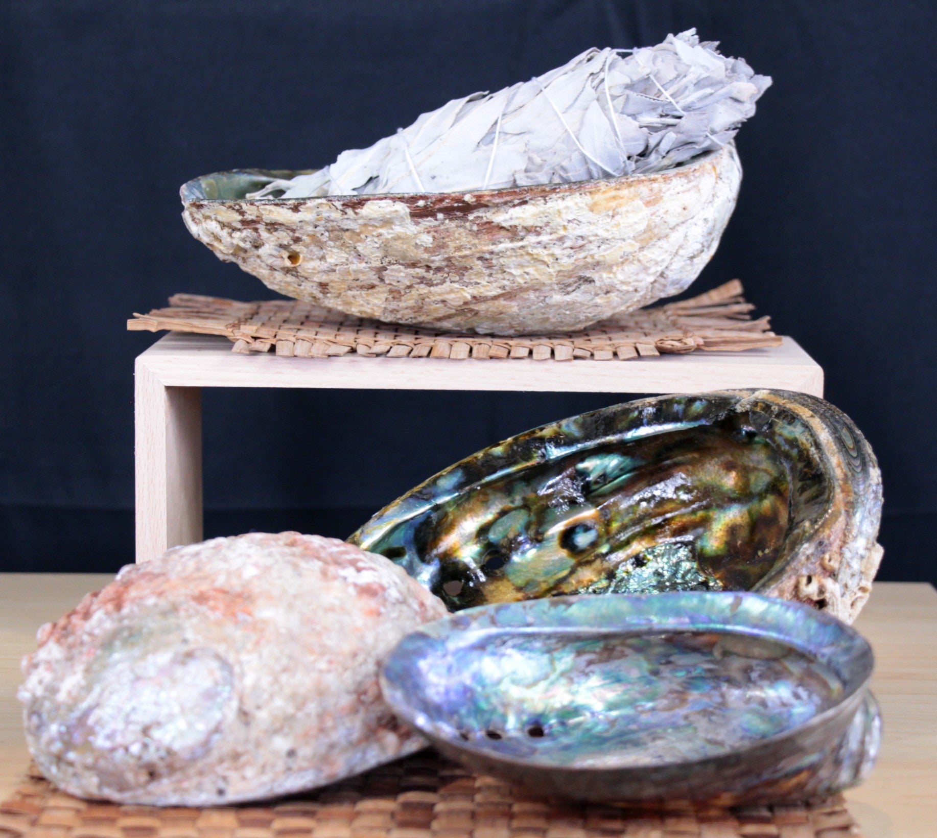Abalone Shell – Culture Shock Alert Bay